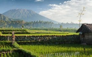 Bali: rozpočet a náklady